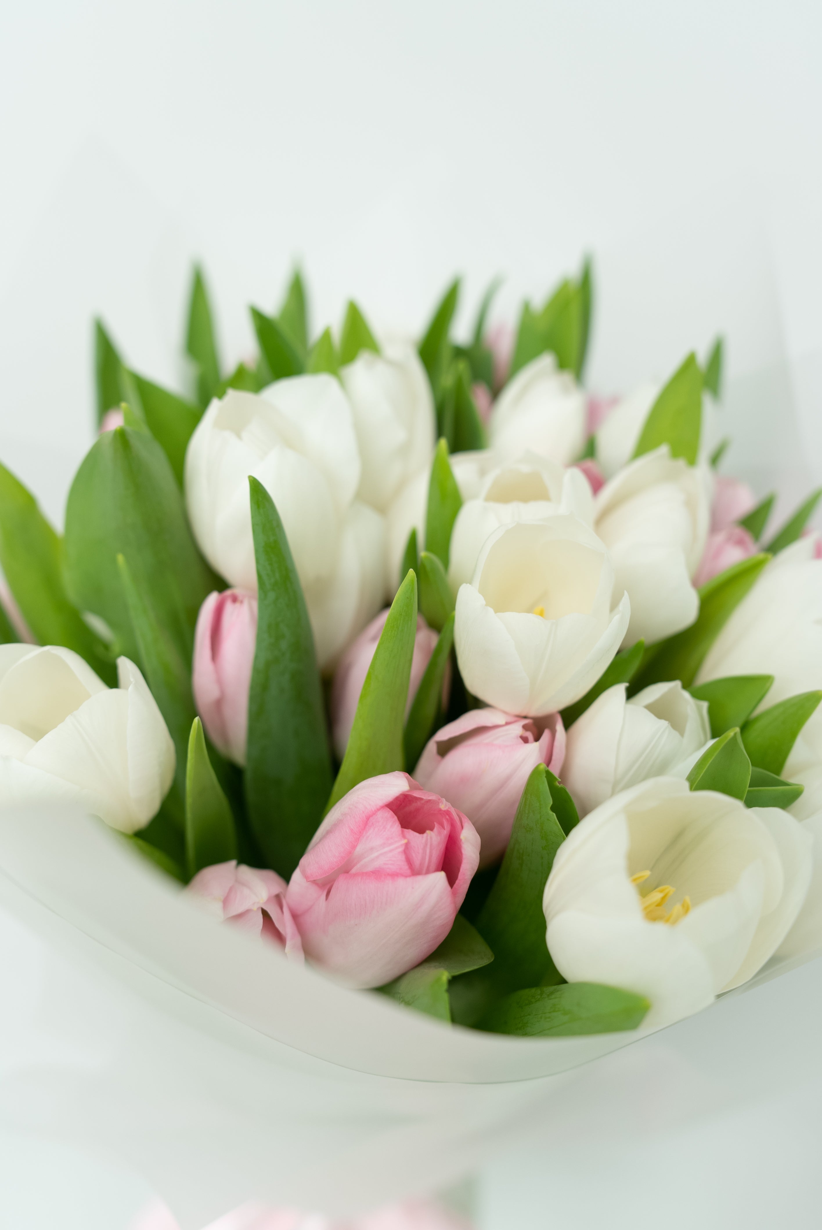 Tender Tulip Bouquet