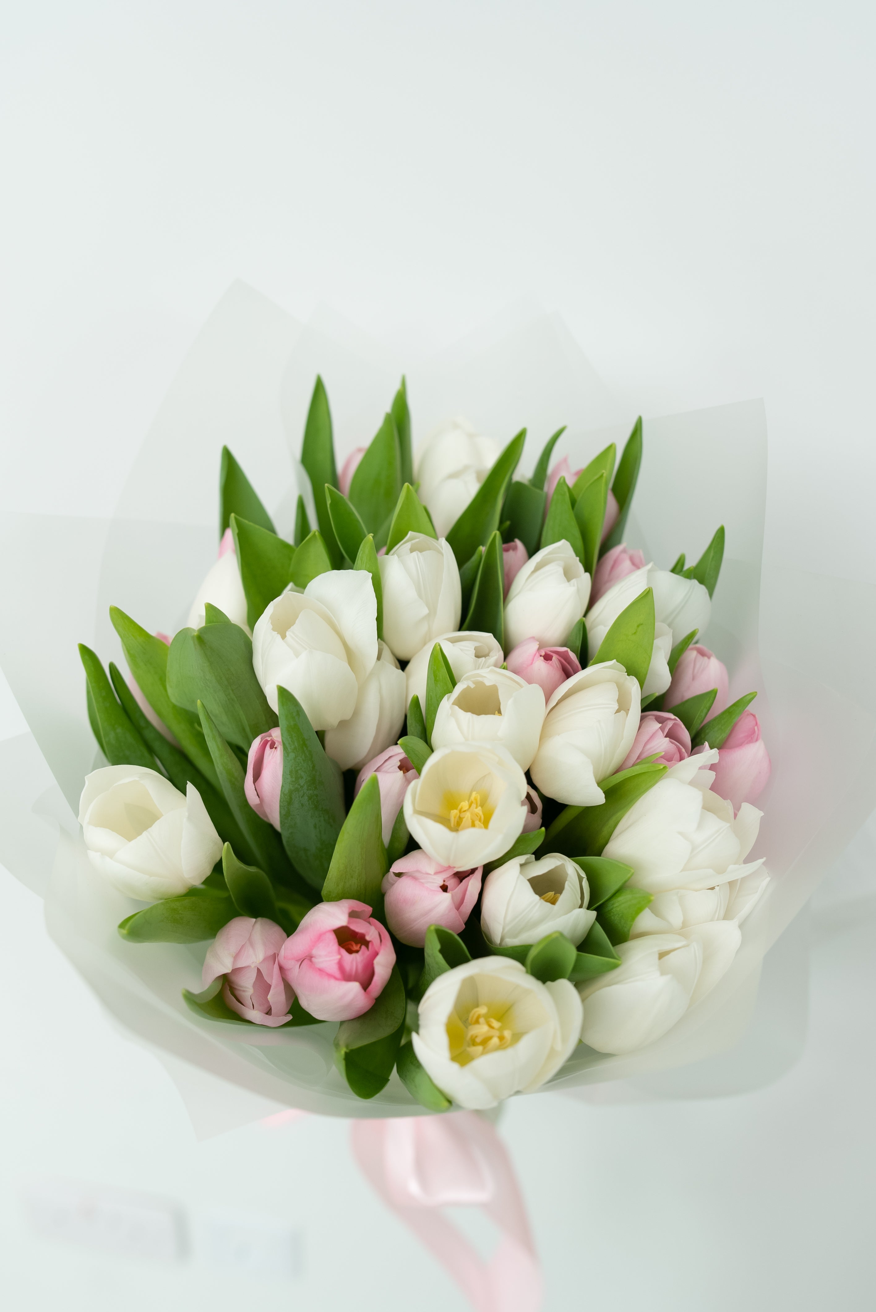Tender Tulip Bouquet